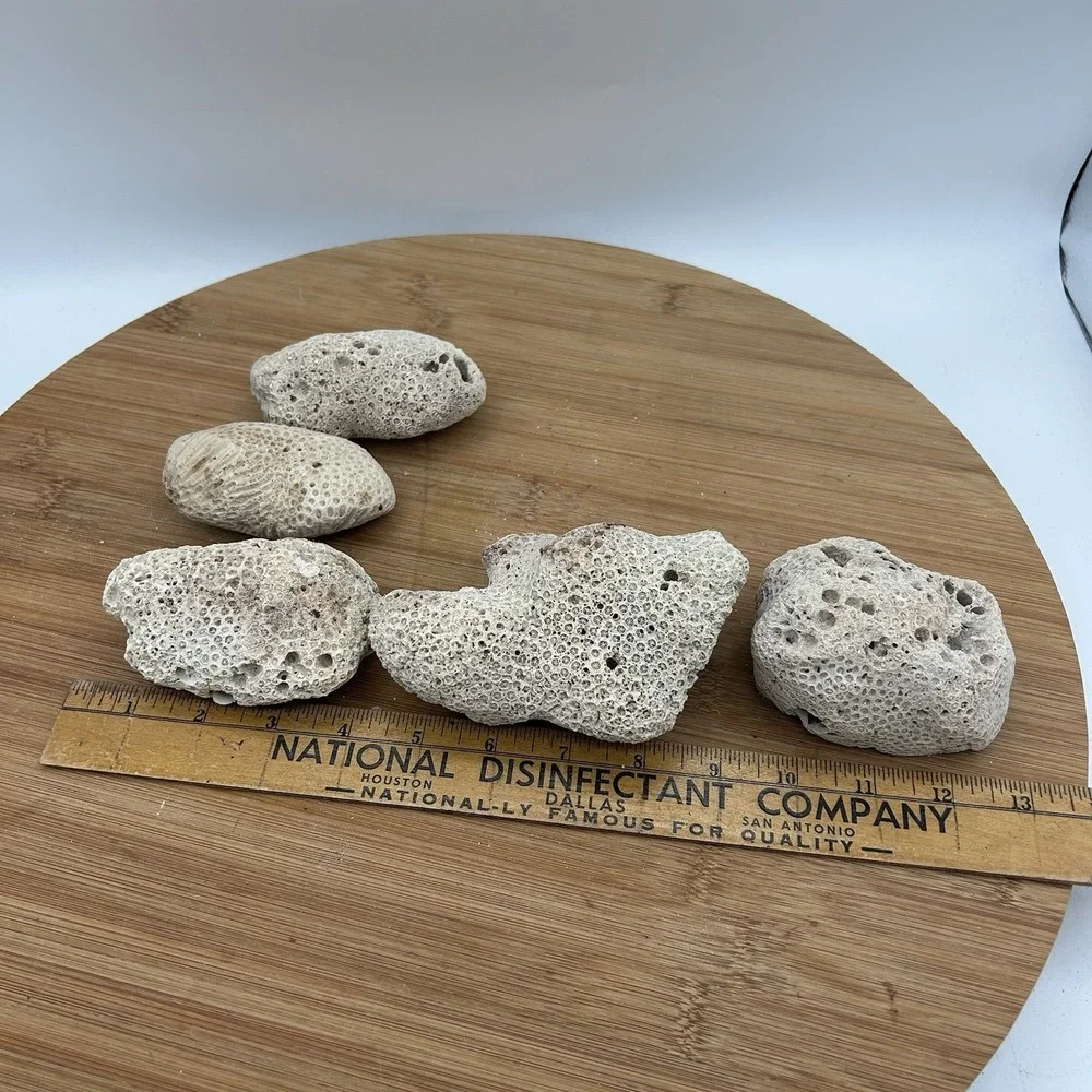 5 Pieces Coral Rocks Rare Vintage Ocean Stone Saltwater Fish Tank Aquarium Decor